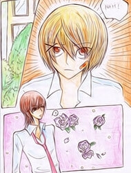 Bản Tình Ca Màu Trời