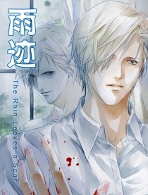 Vũ T&iacute;ch - The Rain Leaves a Scar